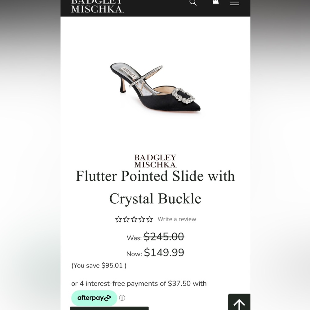 Size 9 Badgley Mischka heels (Worn only to try on)